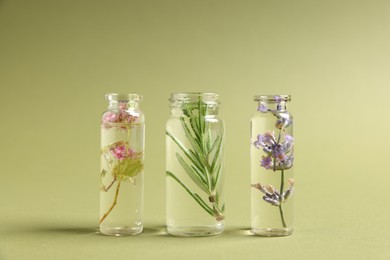 Photo of Essential oils with different plants in bottles on green background, closeup