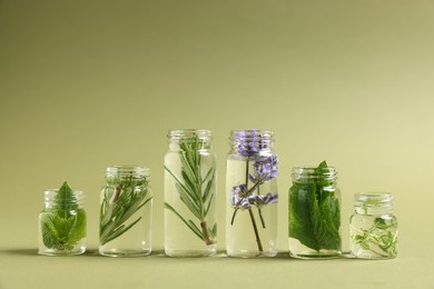Photo of Essential oils with different plants in bottles on green background