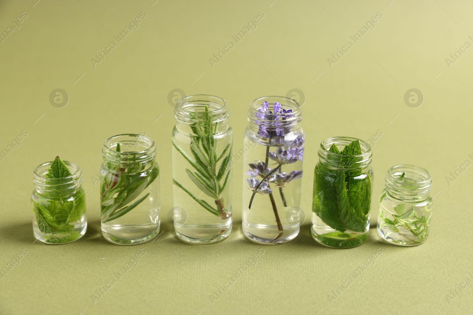 Photo of Essential oils with different plants in bottles on green background
