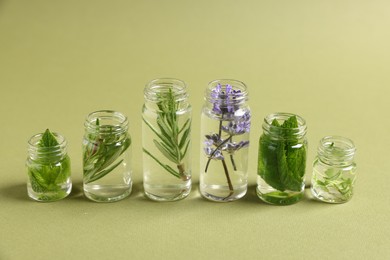 Photo of Essential oils with different plants in bottles on green background