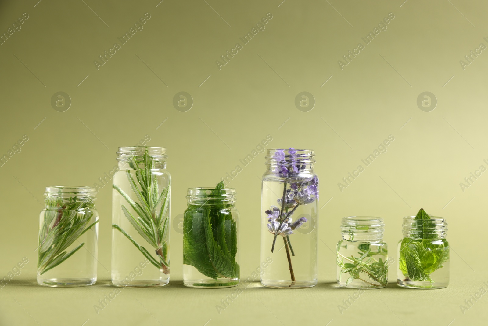 Photo of Essential oils with different plants in bottles on green background