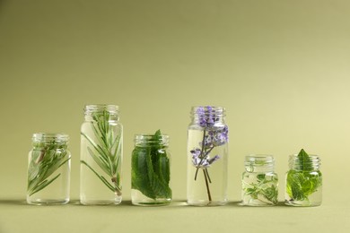 Photo of Essential oils with different plants in bottles on green background