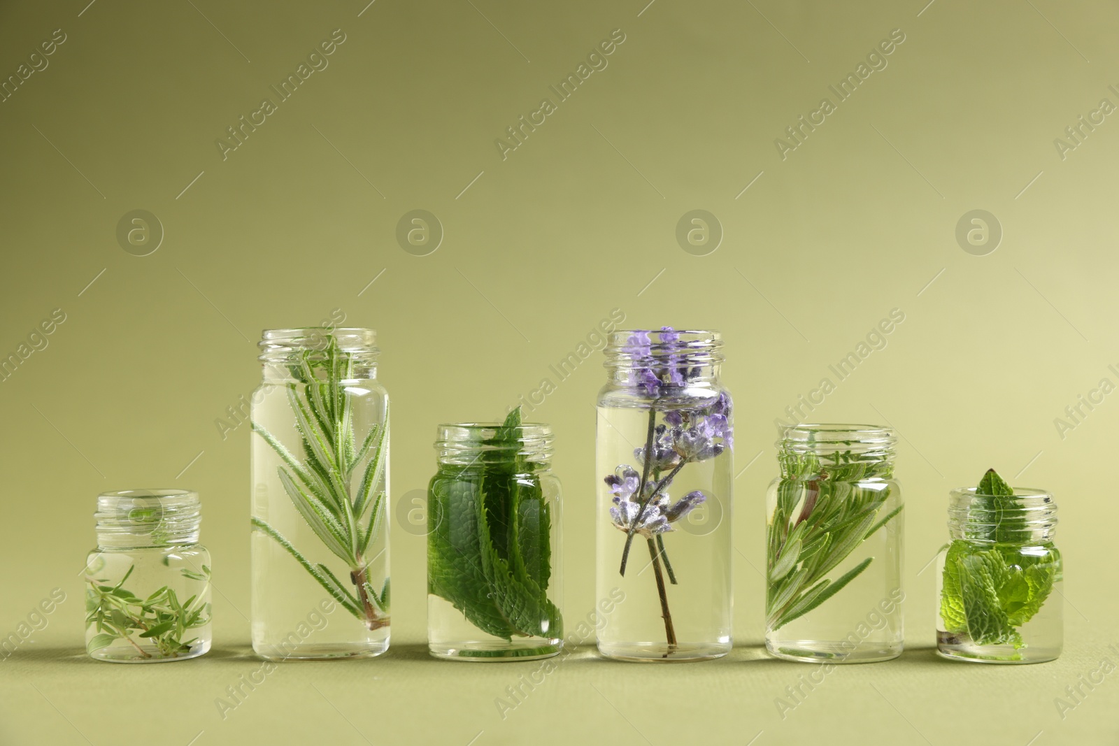 Photo of Essential oils with different plants in bottles on green background