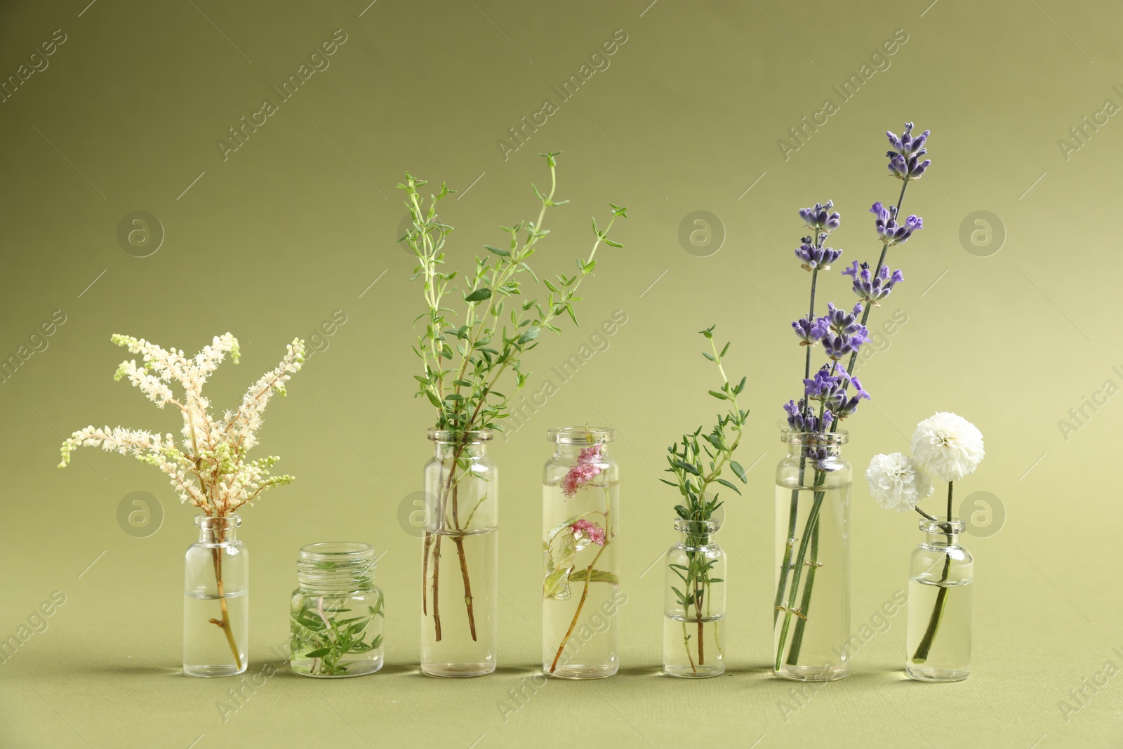 Photo of Essential oils with different plants in bottles on green background