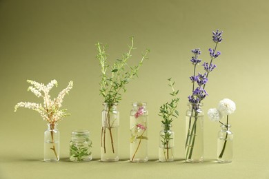Photo of Essential oils with different plants in bottles on green background