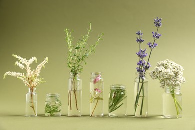 Photo of Essential oils with different plants in bottles on green background