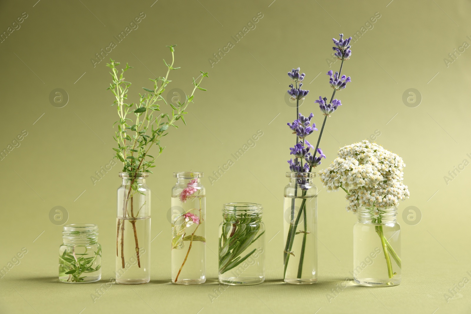 Photo of Essential oils with different plants in bottles on green background