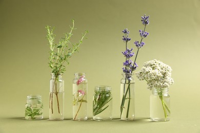 Photo of Essential oils with different plants in bottles on green background