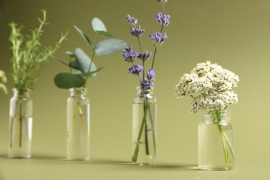 Photo of Essential oils with different plants in bottles on green background, selective focus