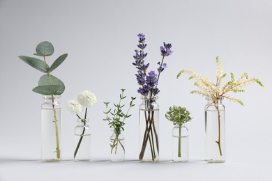 Photo of Essential oils with different plants in bottles on grey background