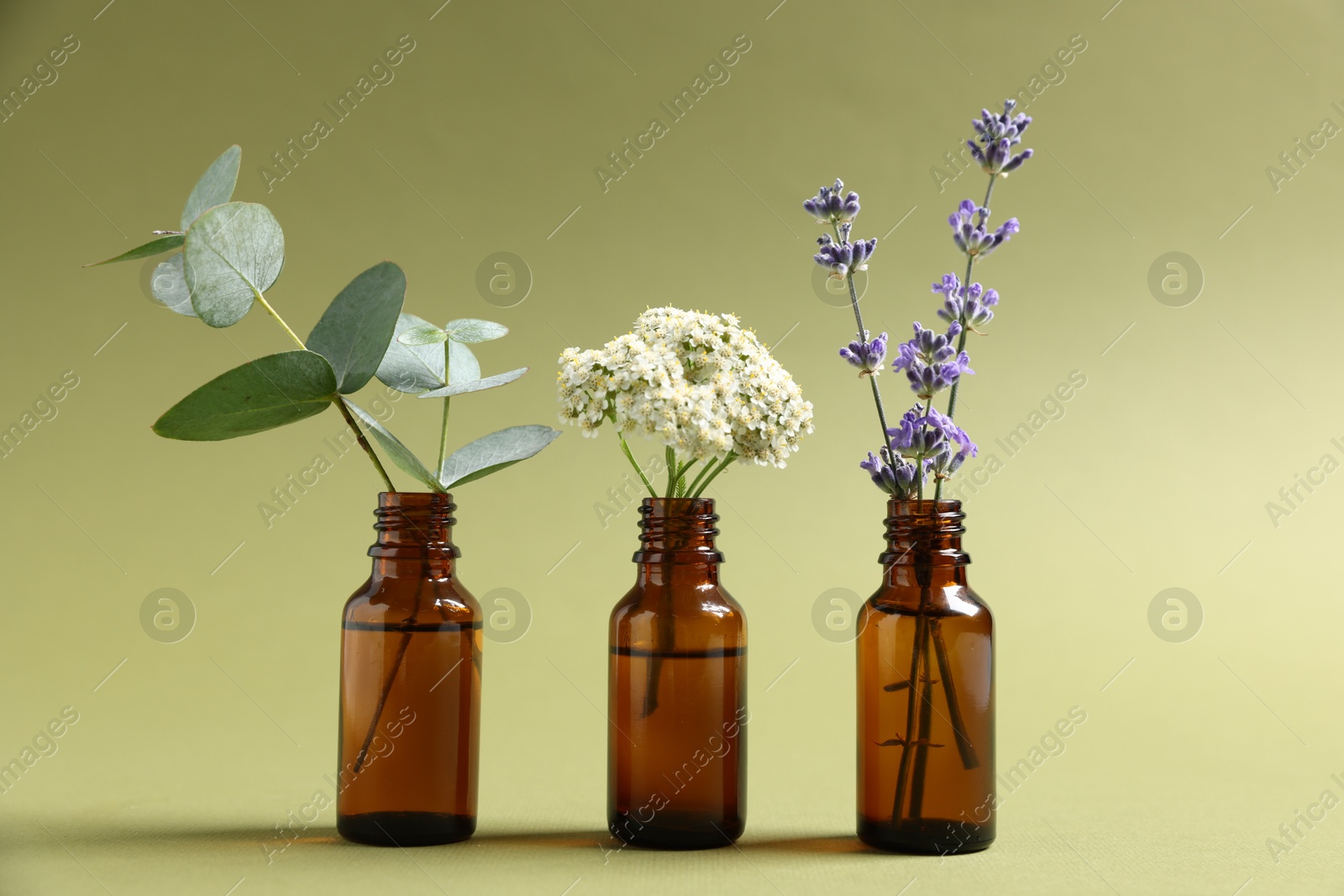 Photo of Essential oils with different plants in bottles on green background