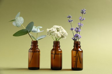 Photo of Essential oils with different plants in bottles on green background