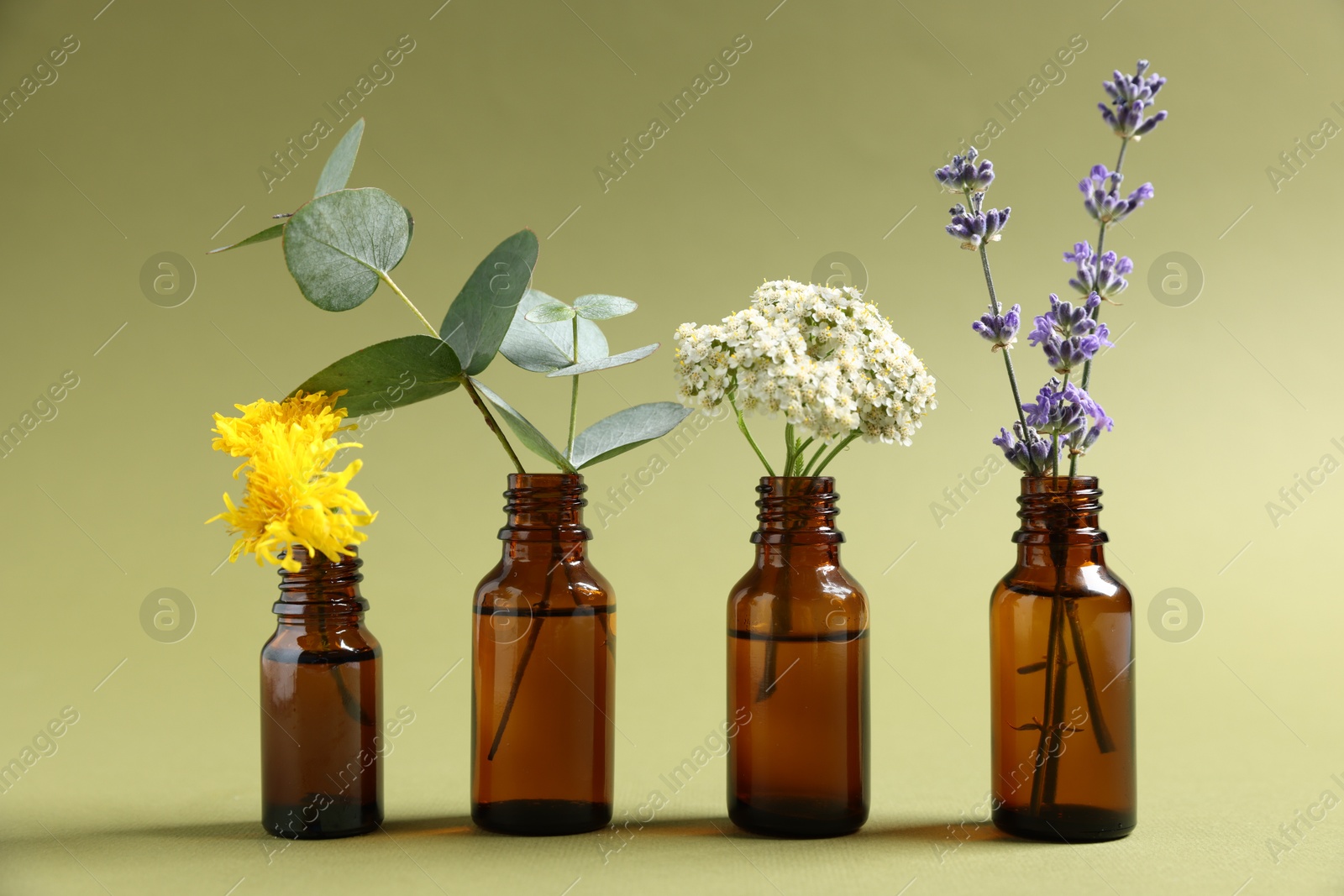 Photo of Essential oils with different plants in bottles on green background