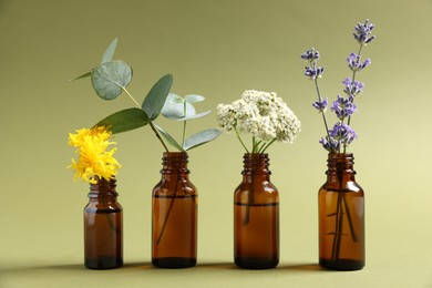 Photo of Essential oils with different plants in bottles on green background