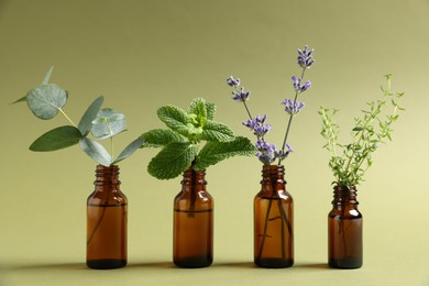 Photo of Essential oils with different plants in bottles on green background