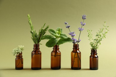 Photo of Essential oils with different plants in bottles on green background