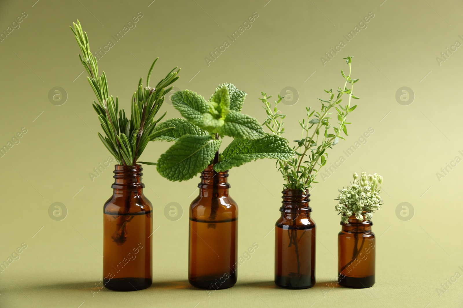 Photo of Essential oils with different plants in bottles on green background