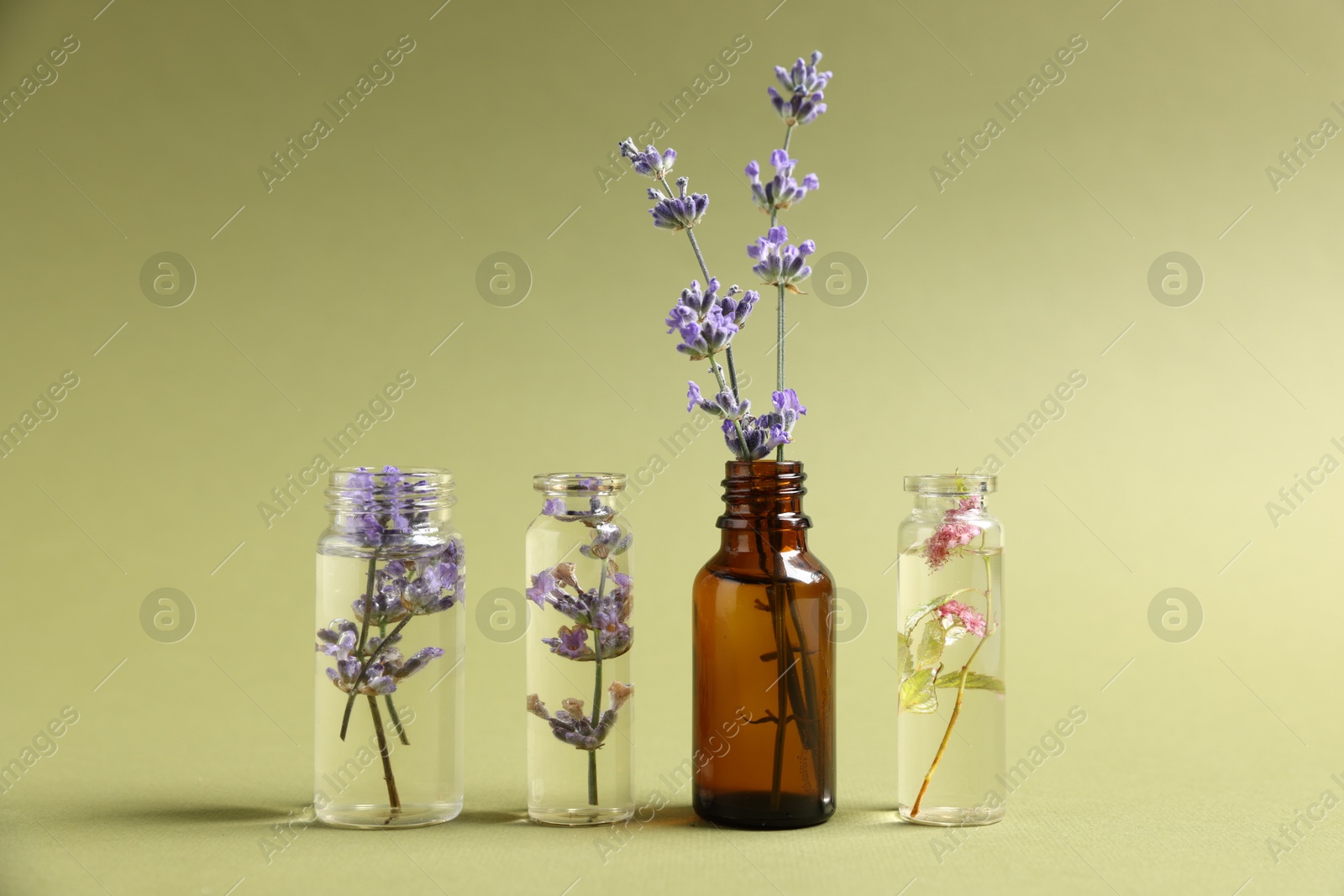 Photo of Essential oils with different flowers in bottles on green background