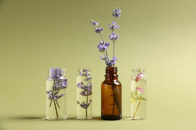 Photo of Essential oils with different flowers in bottles on green background