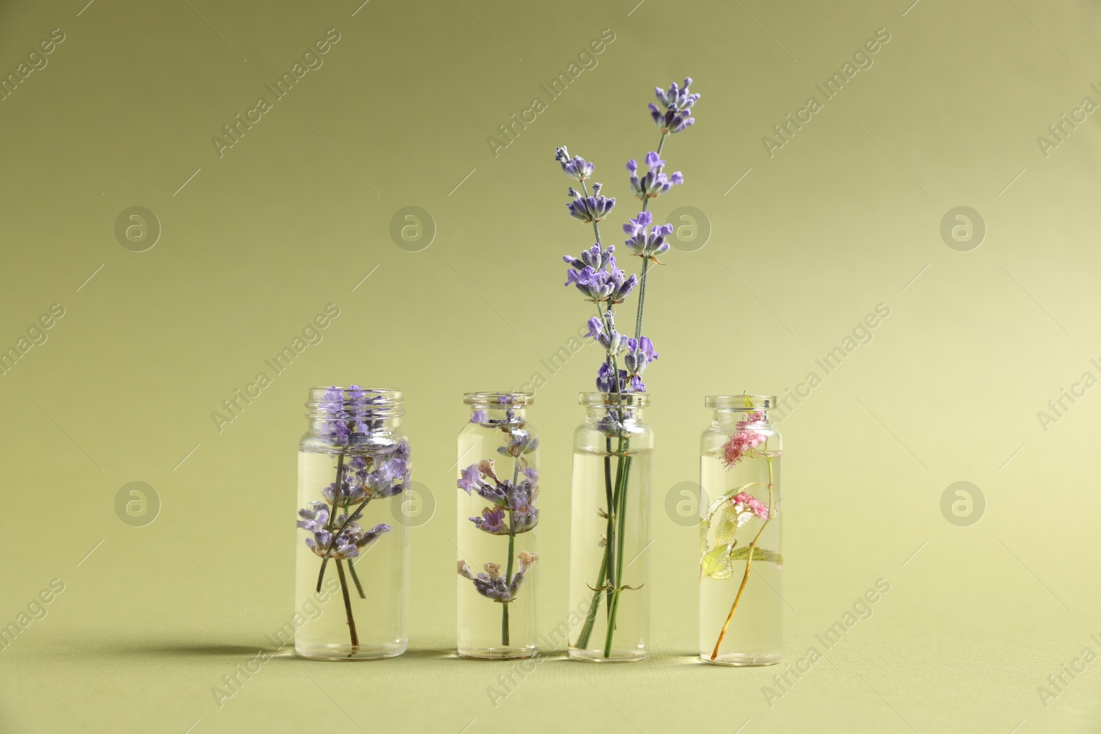 Photo of Essential oils with different flowers in bottles on green background