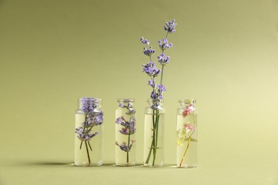 Photo of Essential oils with different flowers in bottles on green background