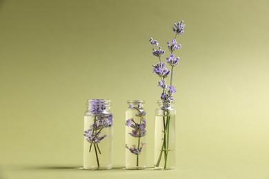 Photo of Essential oil with lavender flowers in bottles on green background