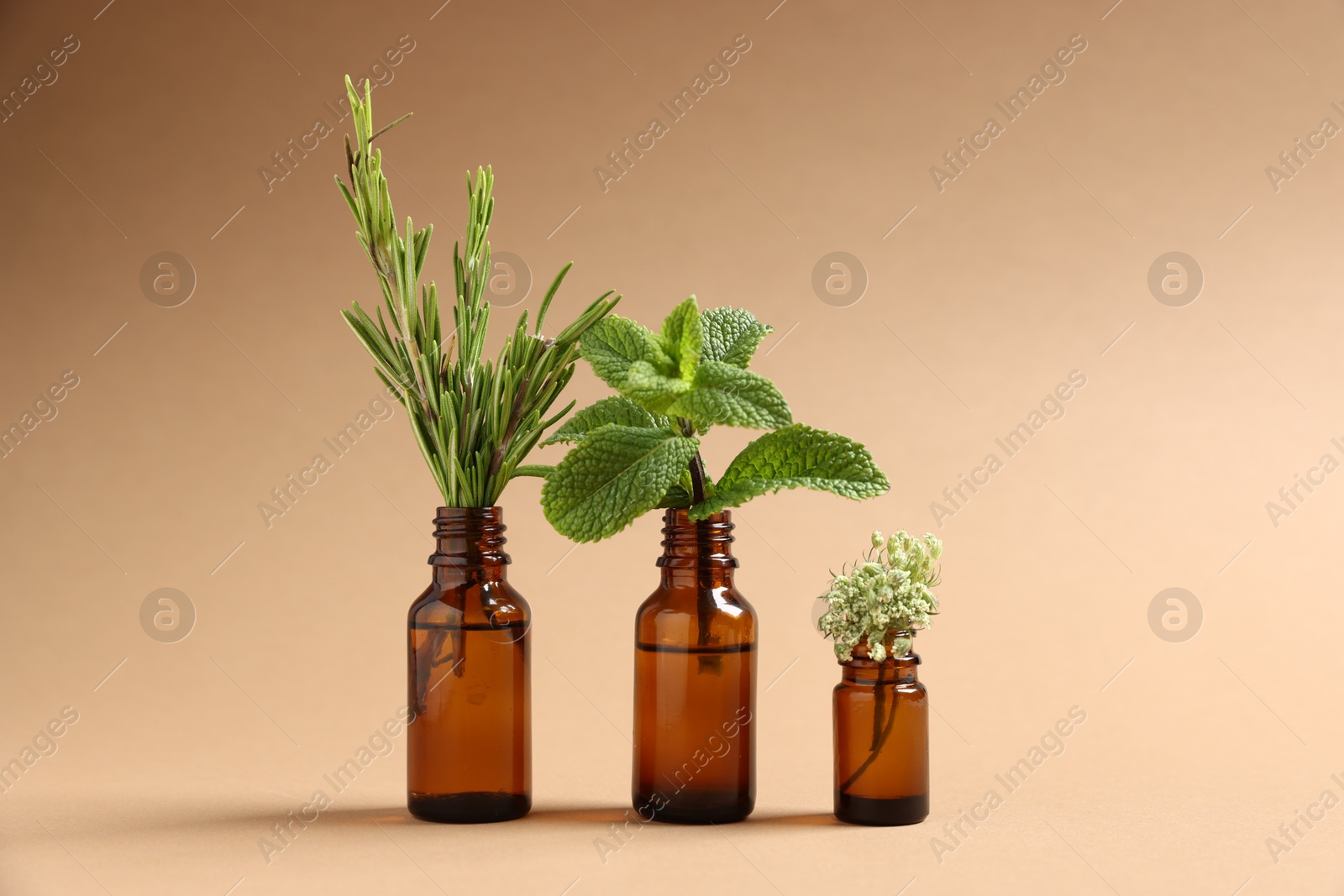 Photo of Essential oils with different plants in bottles on beige background