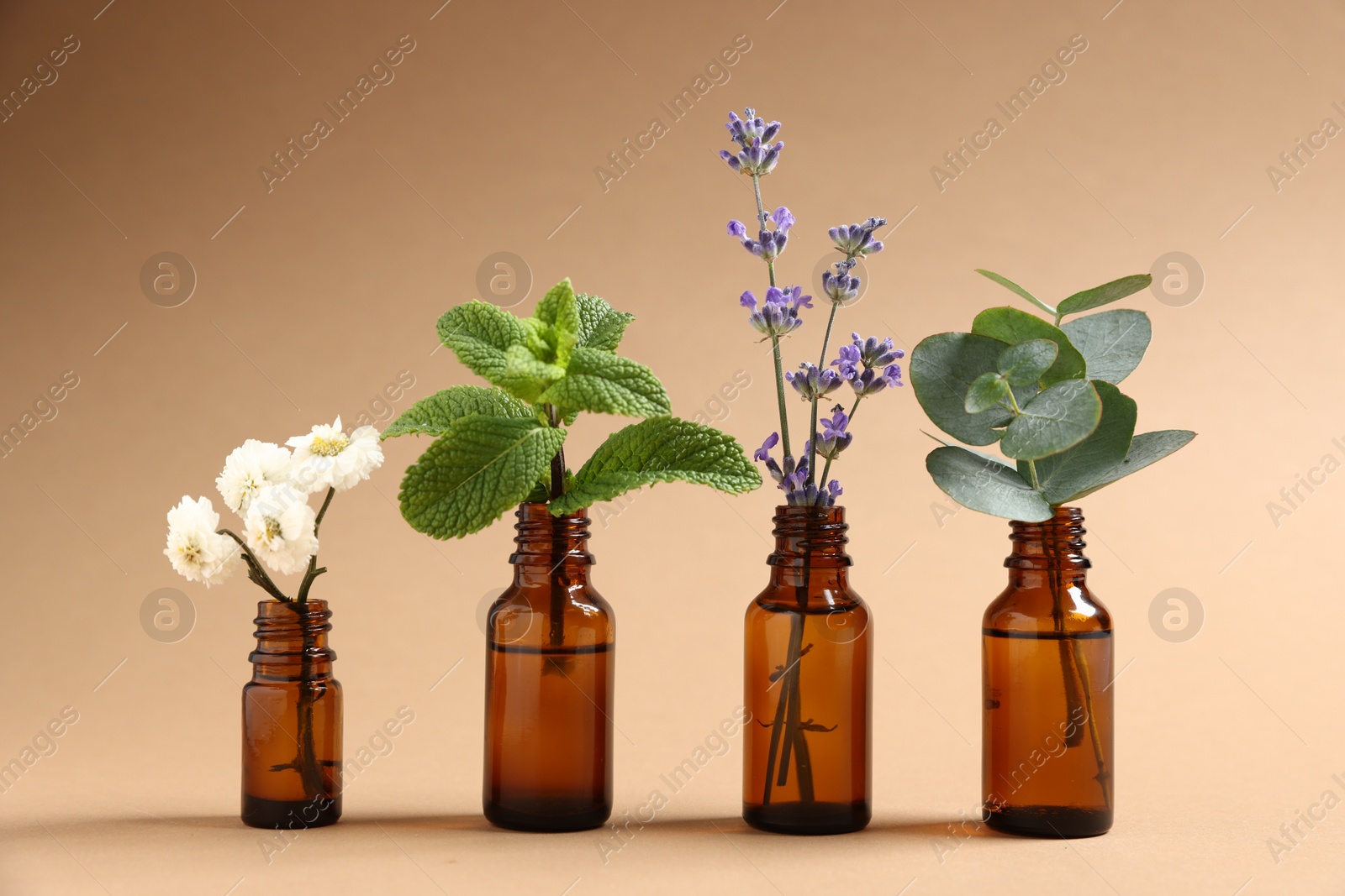 Photo of Essential oils with different plants in bottles on beige background