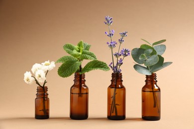 Photo of Essential oils with different plants in bottles on beige background