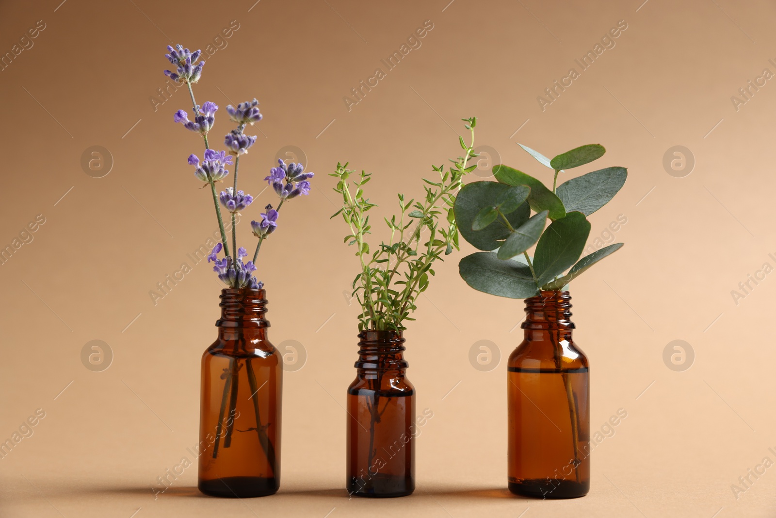 Photo of Essential oils with different plants in bottles on beige background