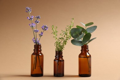 Photo of Essential oils with different plants in bottles on beige background