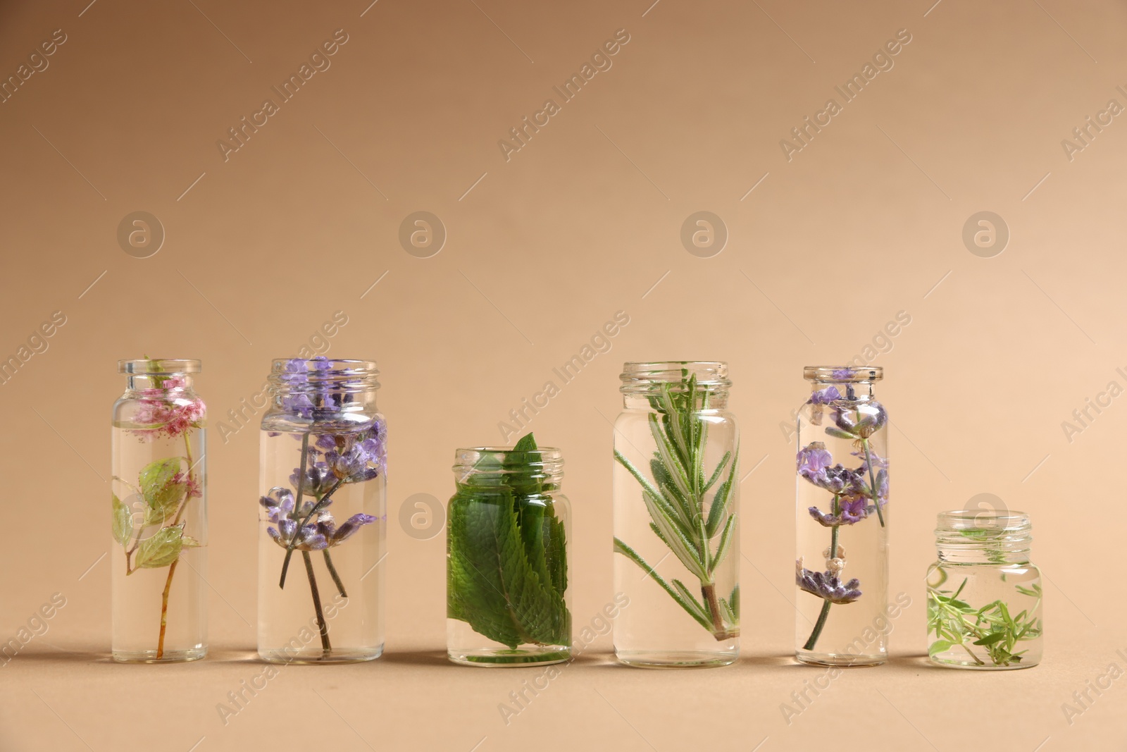 Photo of Essential oils with different plants in bottles on beige background