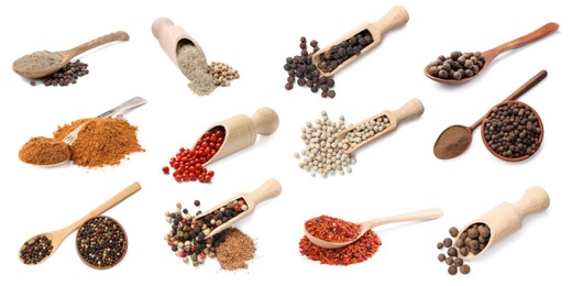 Image of Different types of peppers, set. Spices isolated on white