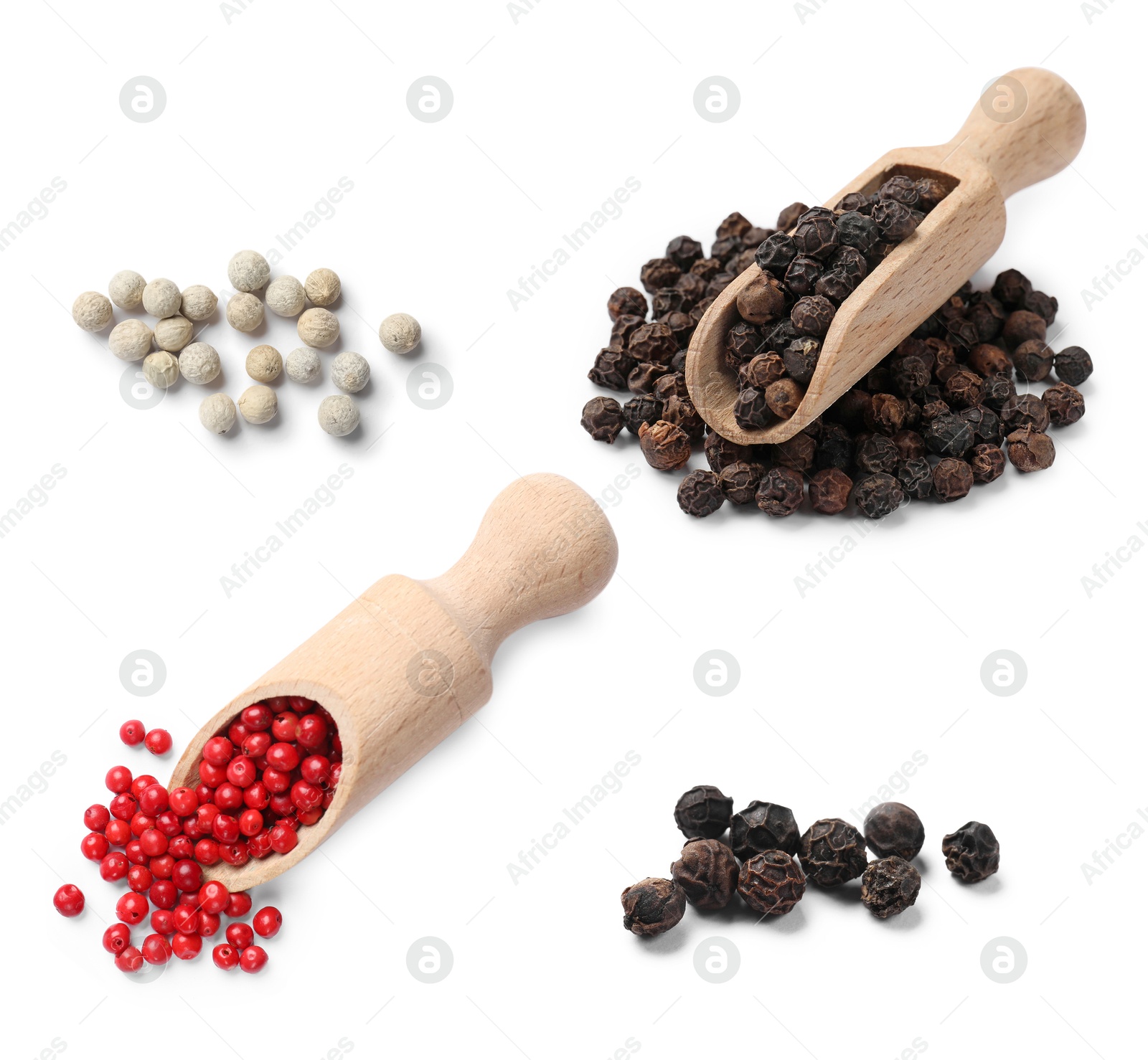 Different types of peppers, set. Spices isolated on white Image of Different types of peppers, set. Spices isolated on white