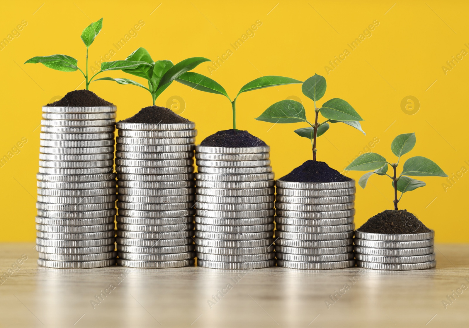 Image of Savings concept. Stacked coins with sprouts on table against orange background