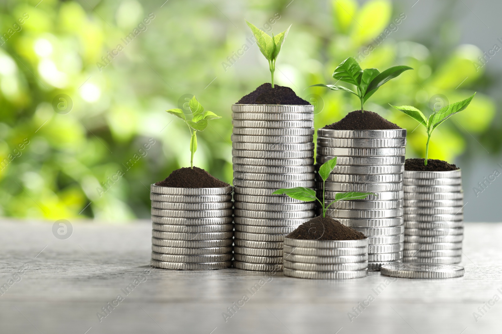 Image of Savings concept. Stacked coins with sprouts on table