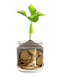 Image of Jar with coins and sprout against white background. Savings concept