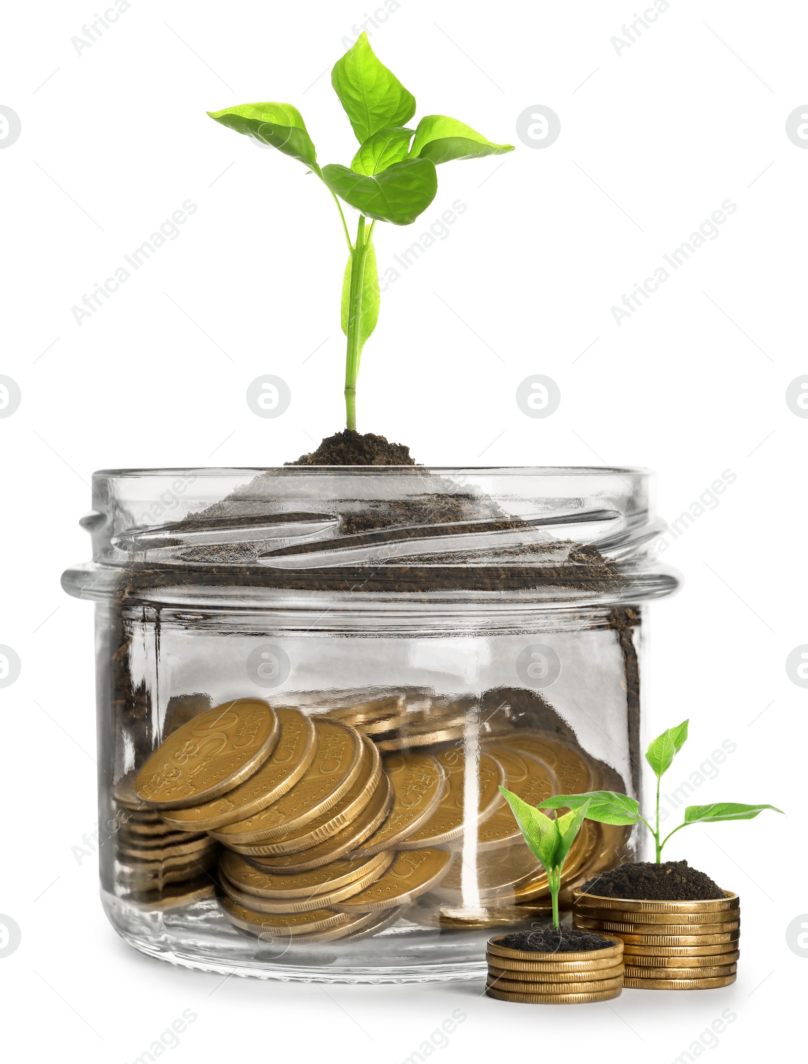 Image of Savings concept. Coins and sprouts against white background