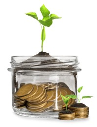 Image of Savings concept. Coins and sprouts against white background