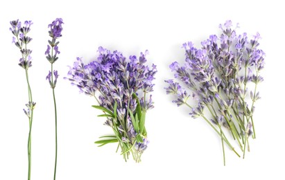 Image of Lavender isolated on white, set. Fragrant flowers