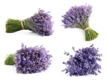 Image of Bundles of lavender flowers isolated on white, set