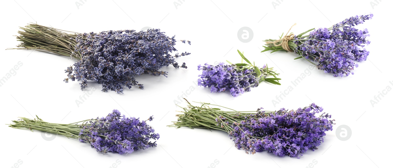 Bundles of lavender flowers isolated on white, set Image of Bundles of lavender flowers isolated on white, set
