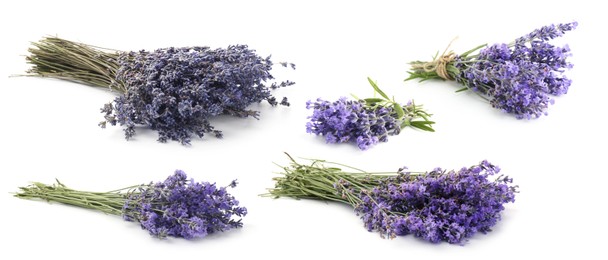 Image of Bundles of lavender flowers isolated on white, set