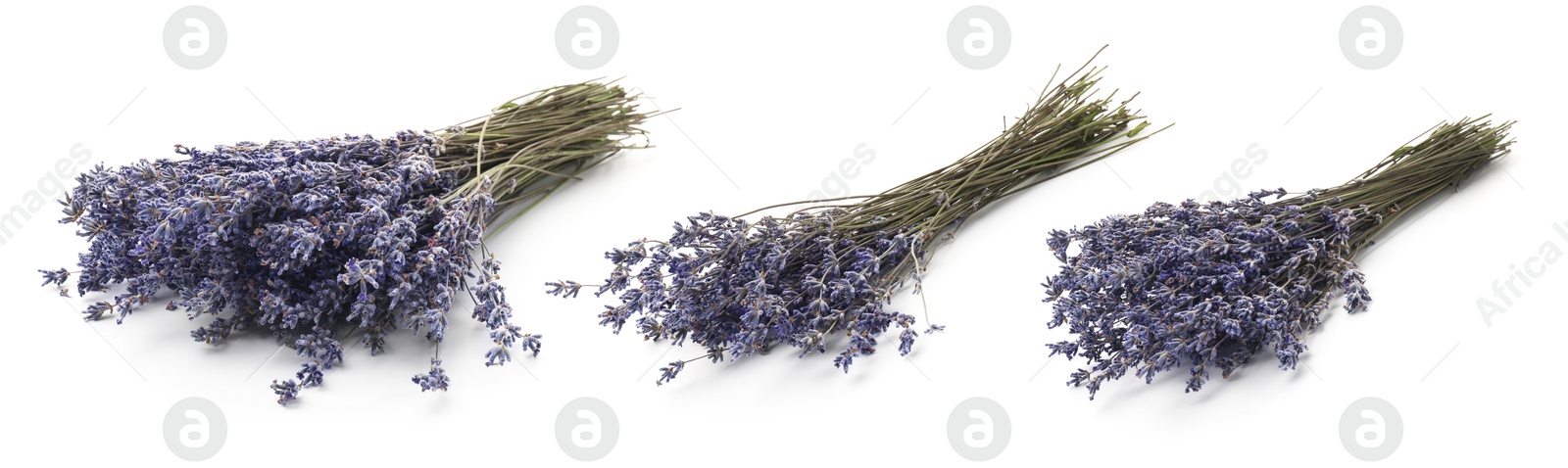 Bundles of lavender flowers isolated on white, set Image of Bundles of lavender flowers isolated on white, set