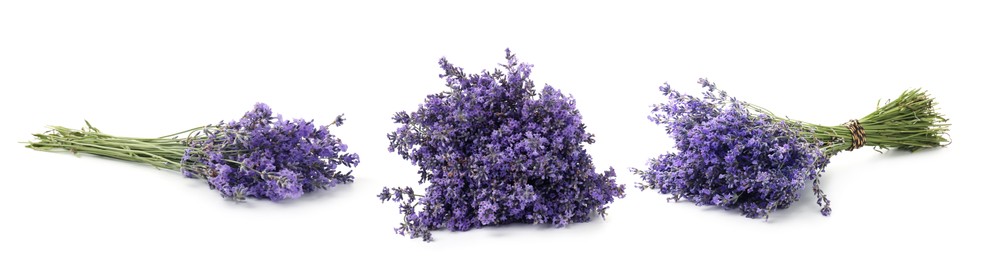 Image of Bundles of lavender flowers isolated on white, set