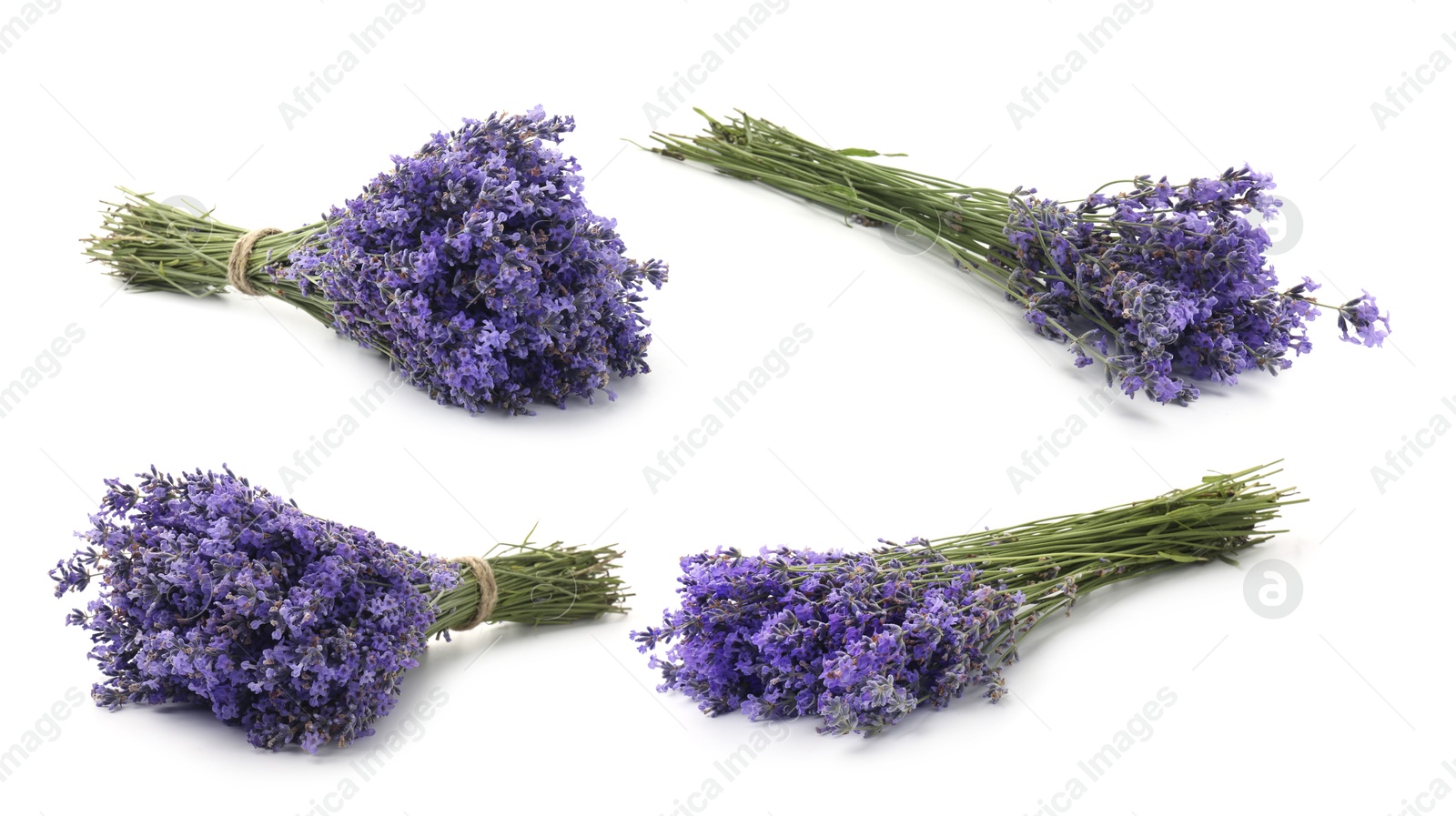 Bundles of lavender flowers isolated on white, set Image of Bundles of lavender flowers isolated on white, set