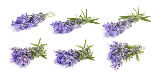Image of Bundles of lavender flowers isolated on white, set
