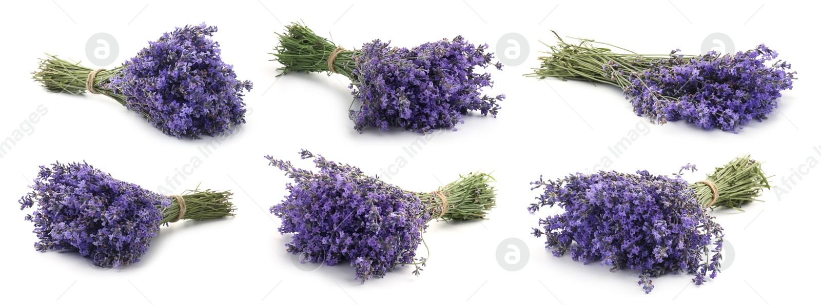 Bundles of lavender flowers isolated on white, set Image of Bundles of lavender flowers isolated on white, set