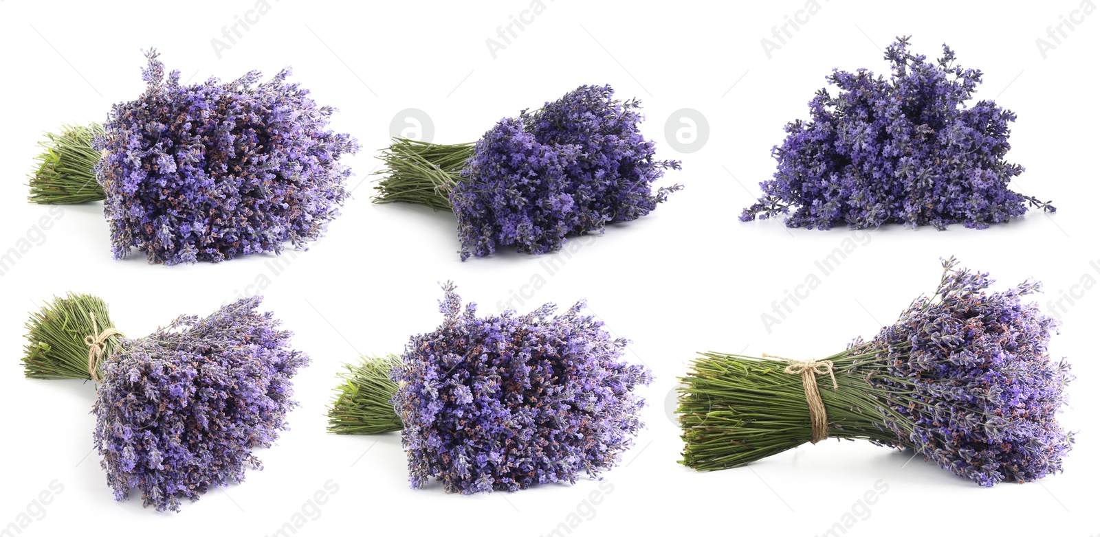 Bundles of lavender flowers isolated on white, set Image of Bundles of lavender flowers isolated on white, set