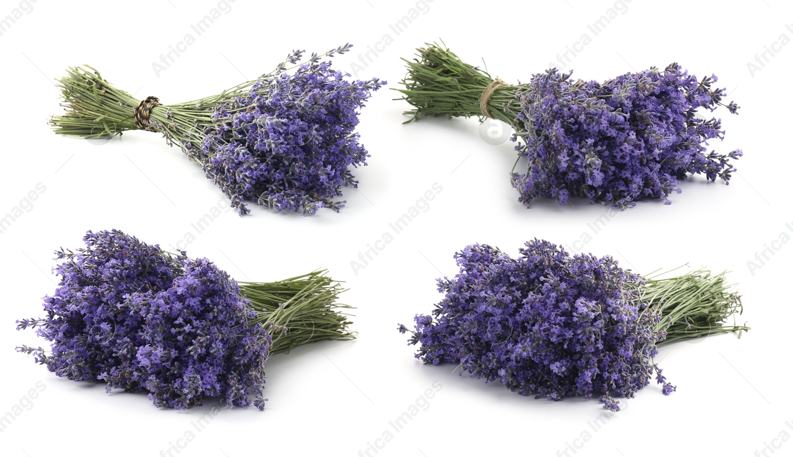 Bundles of lavender flowers isolated on white, set Image of Bundles of lavender flowers isolated on white, set
